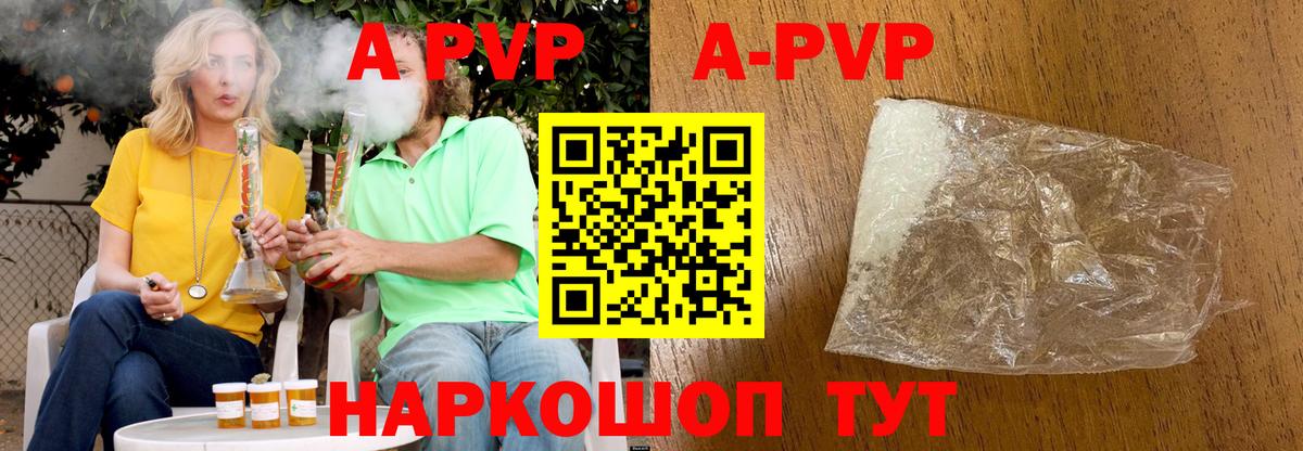 A PVP СК Шебекино