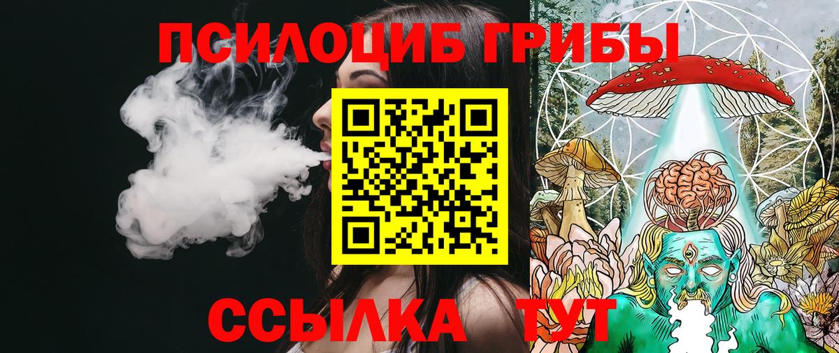 Галлюциногенные грибы прущие грибы  Вход с VPN  Шебекино 